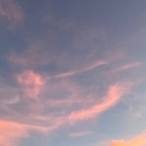 Meet your Posher, Shamss